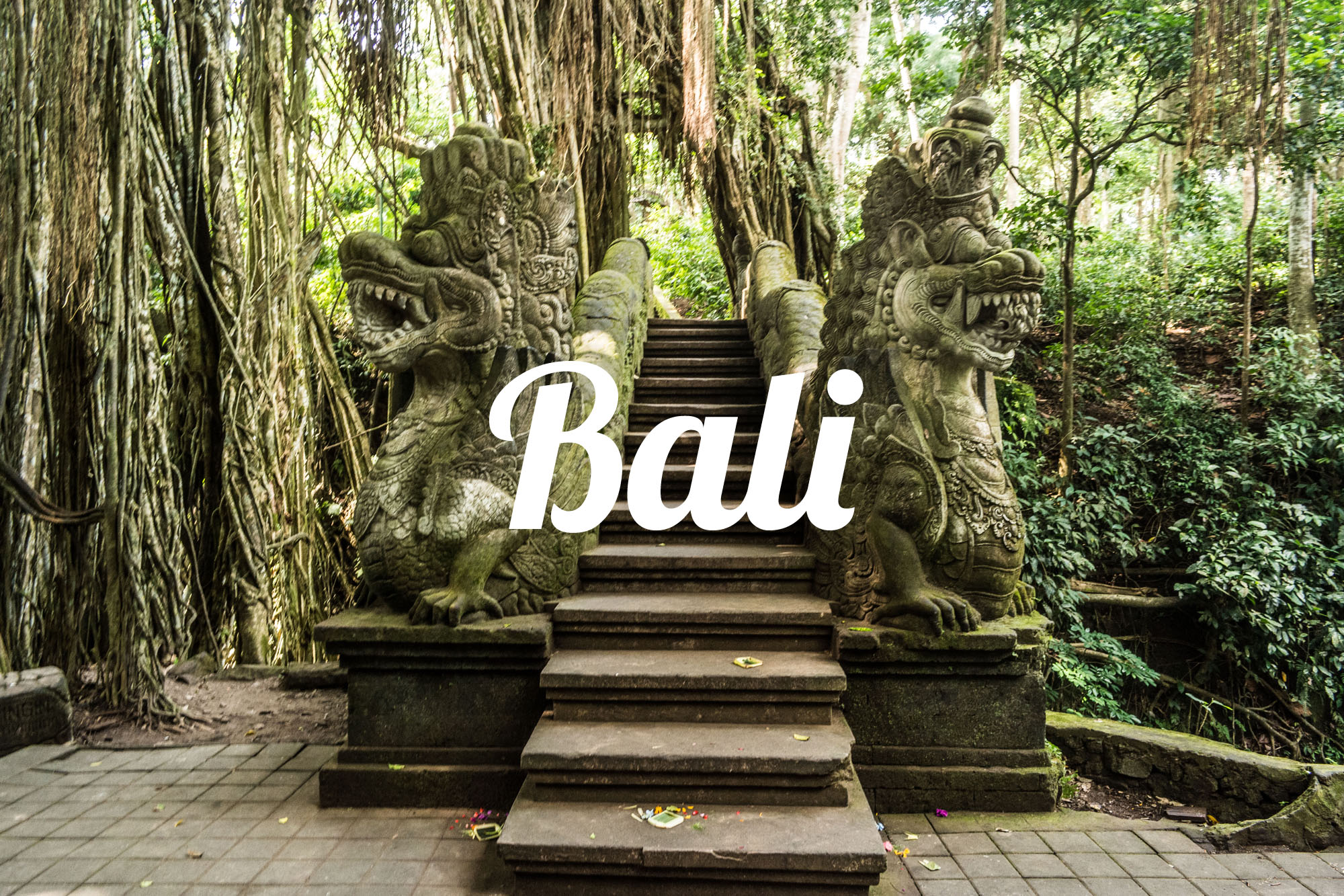 BALI-COVER
